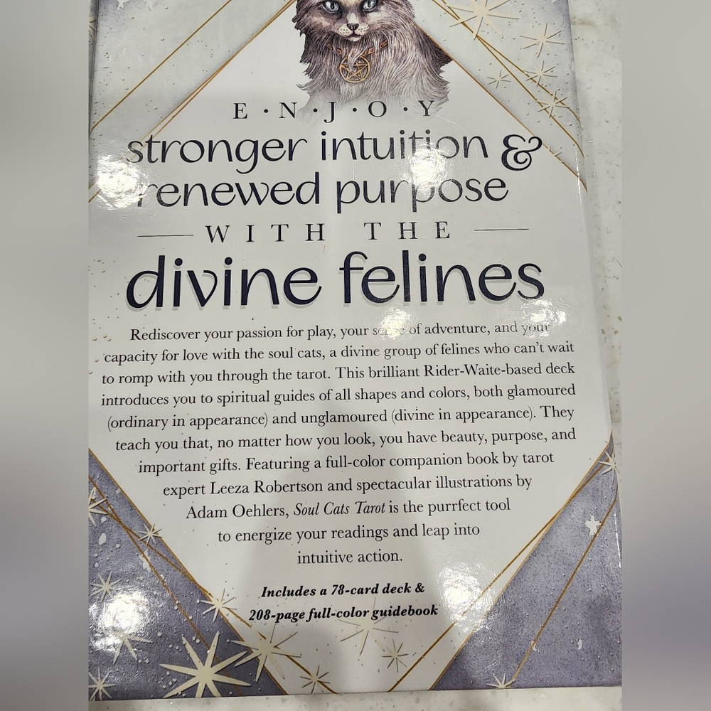 Soul Cats Tarot Card Set With Book Divine Feline New By Leeza Robertson - Picture 6 of 14